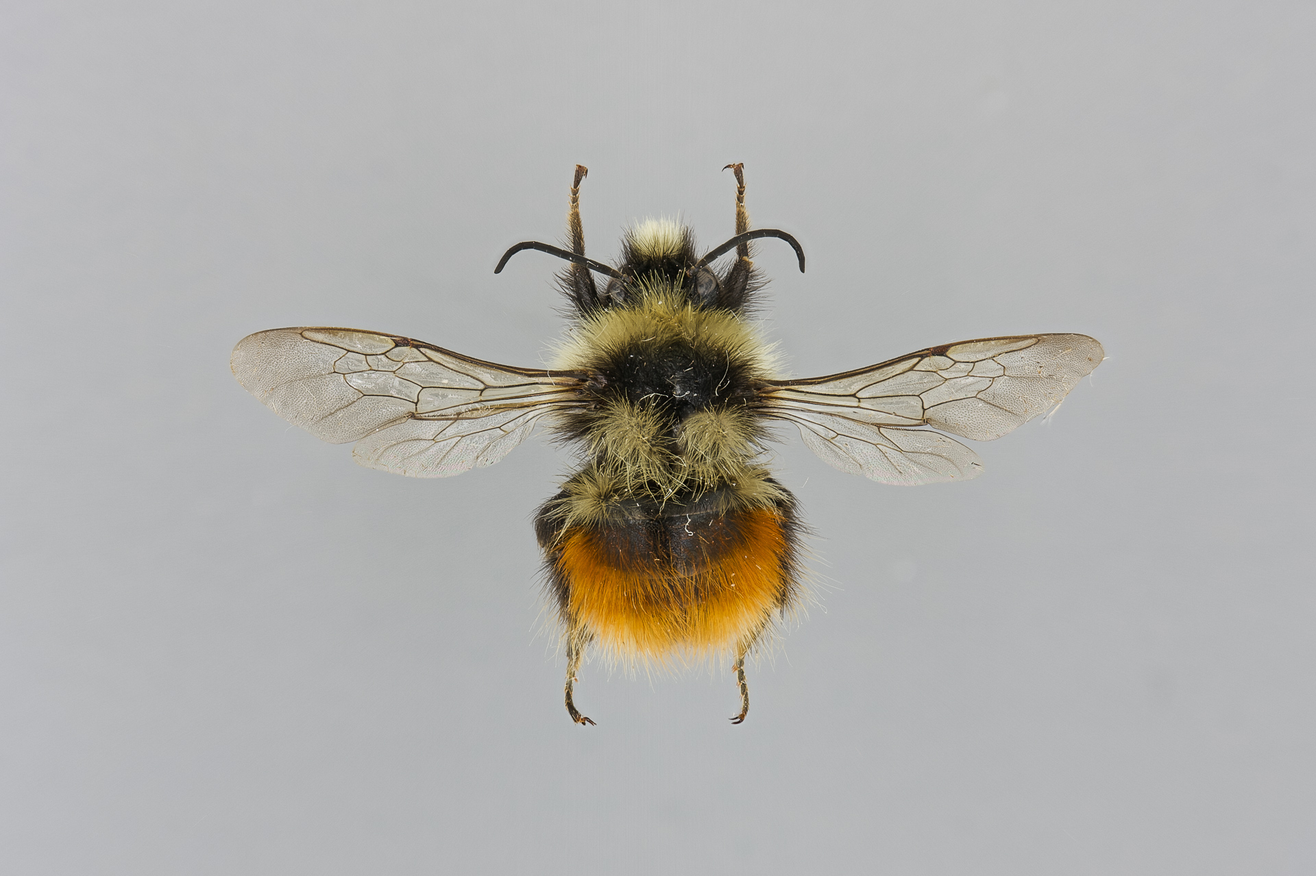 SPS - tunturiseurannat.fi