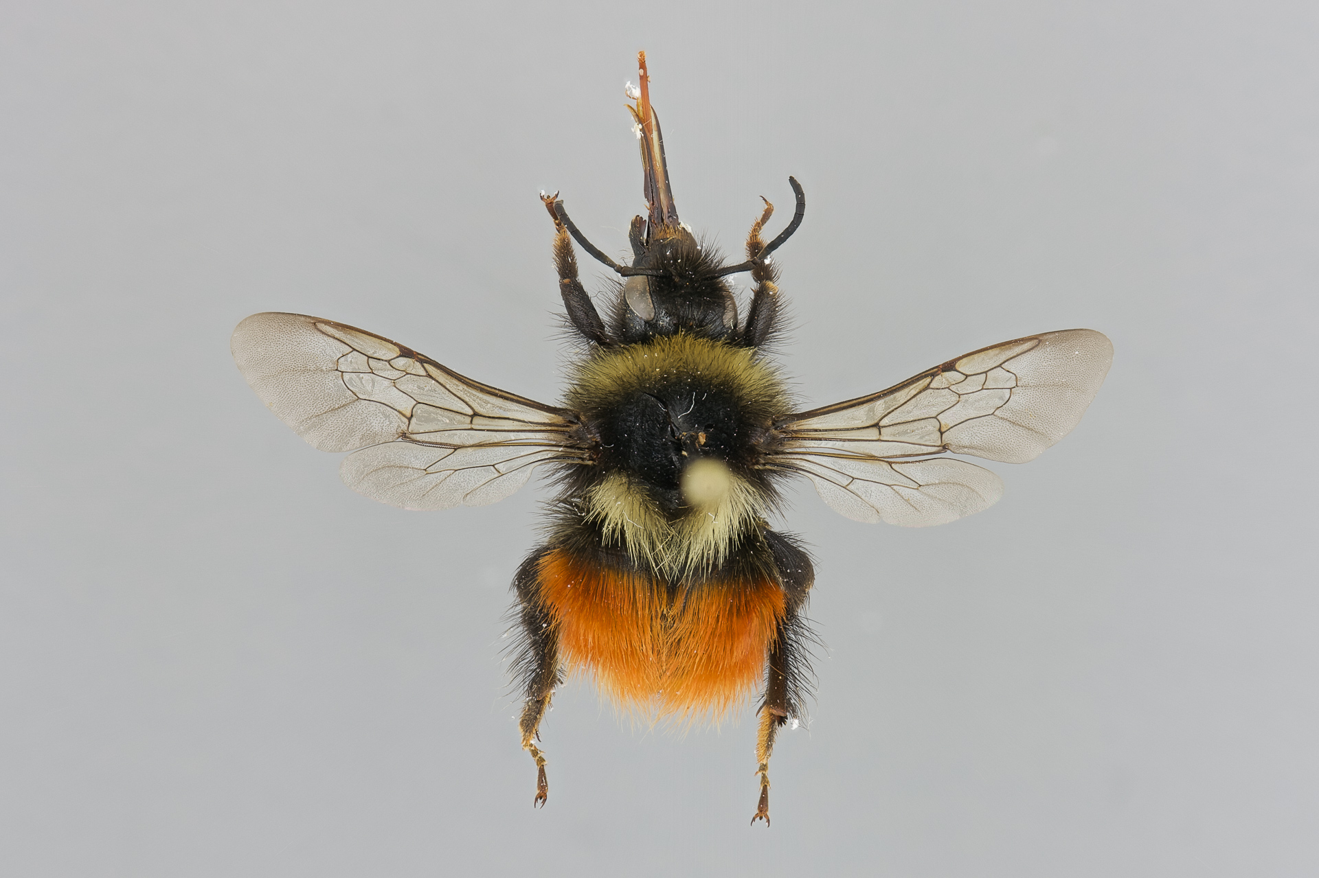 SPS - tunturiseurannat.fi