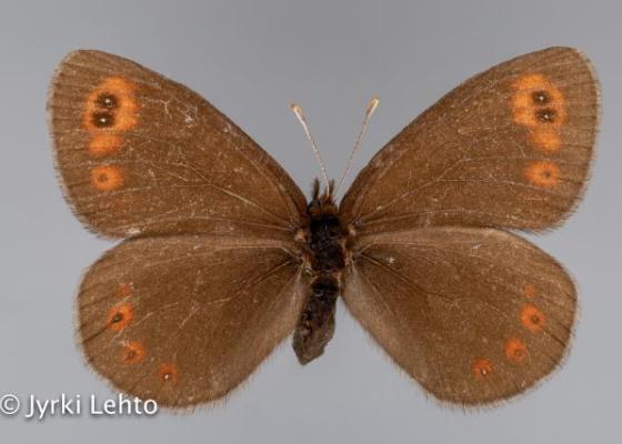 SPS - tunturiseurannat.fi