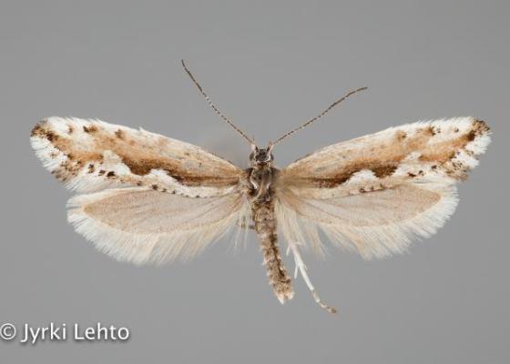  SPS - tunturiseurannat.fi