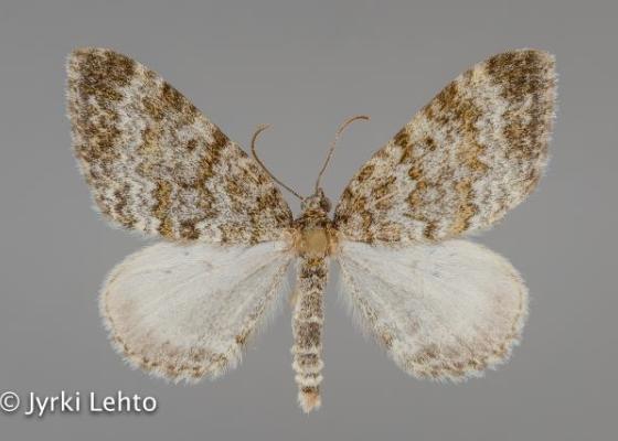 SPS - tunturiseurannat.fi