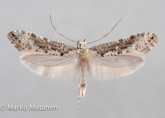 SPS - tunturiseurannat.fi