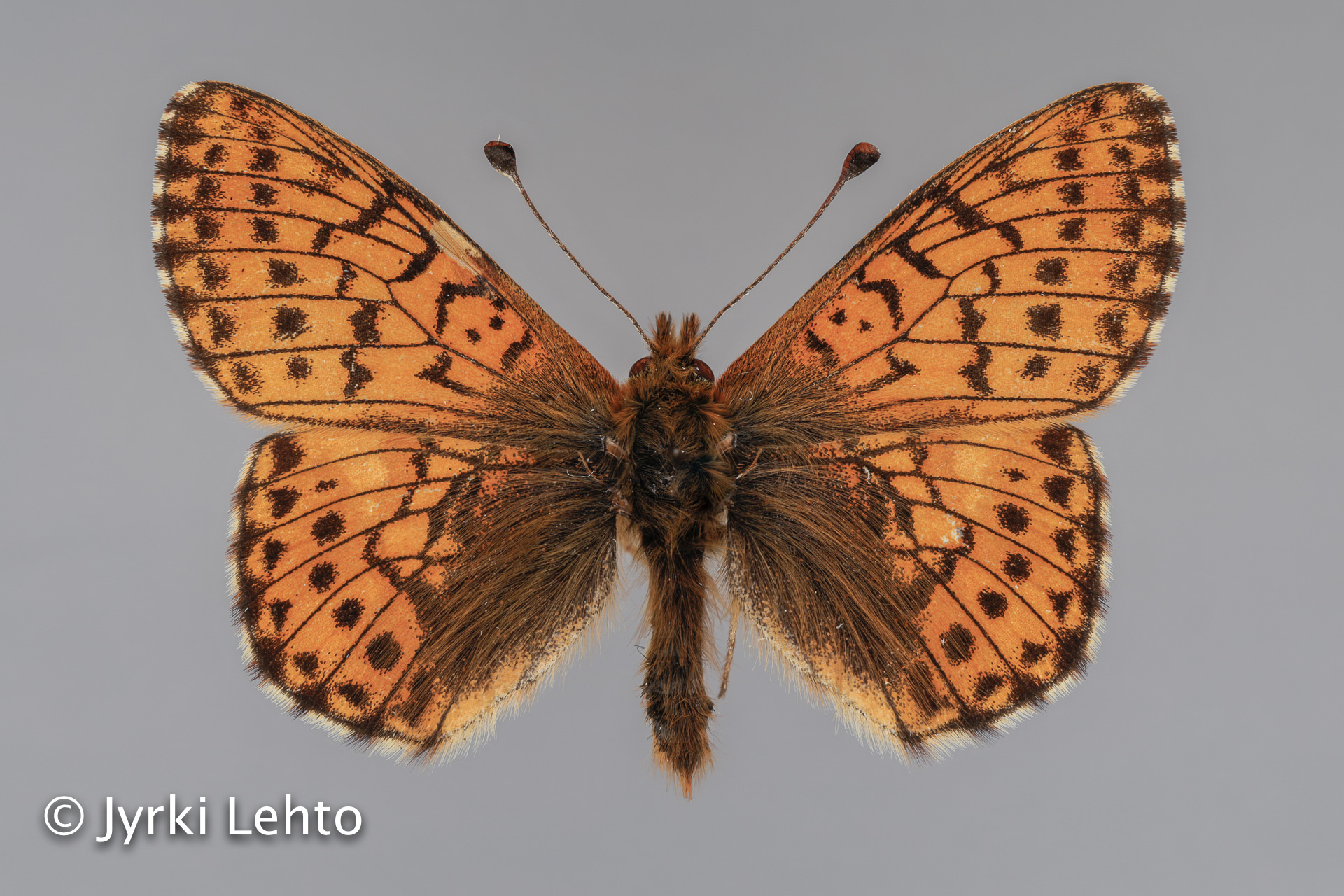 SPS - tunturiseurannat.fi