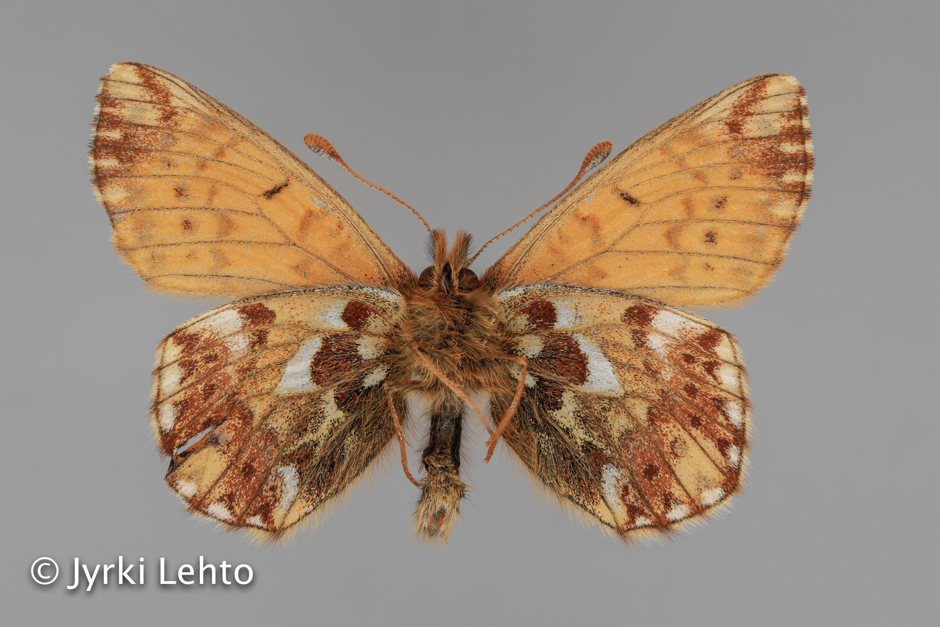 SPS - tunturiseurannat.fi