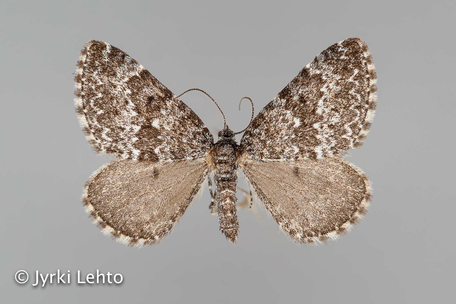 SPS - tunturiseurannat.fi