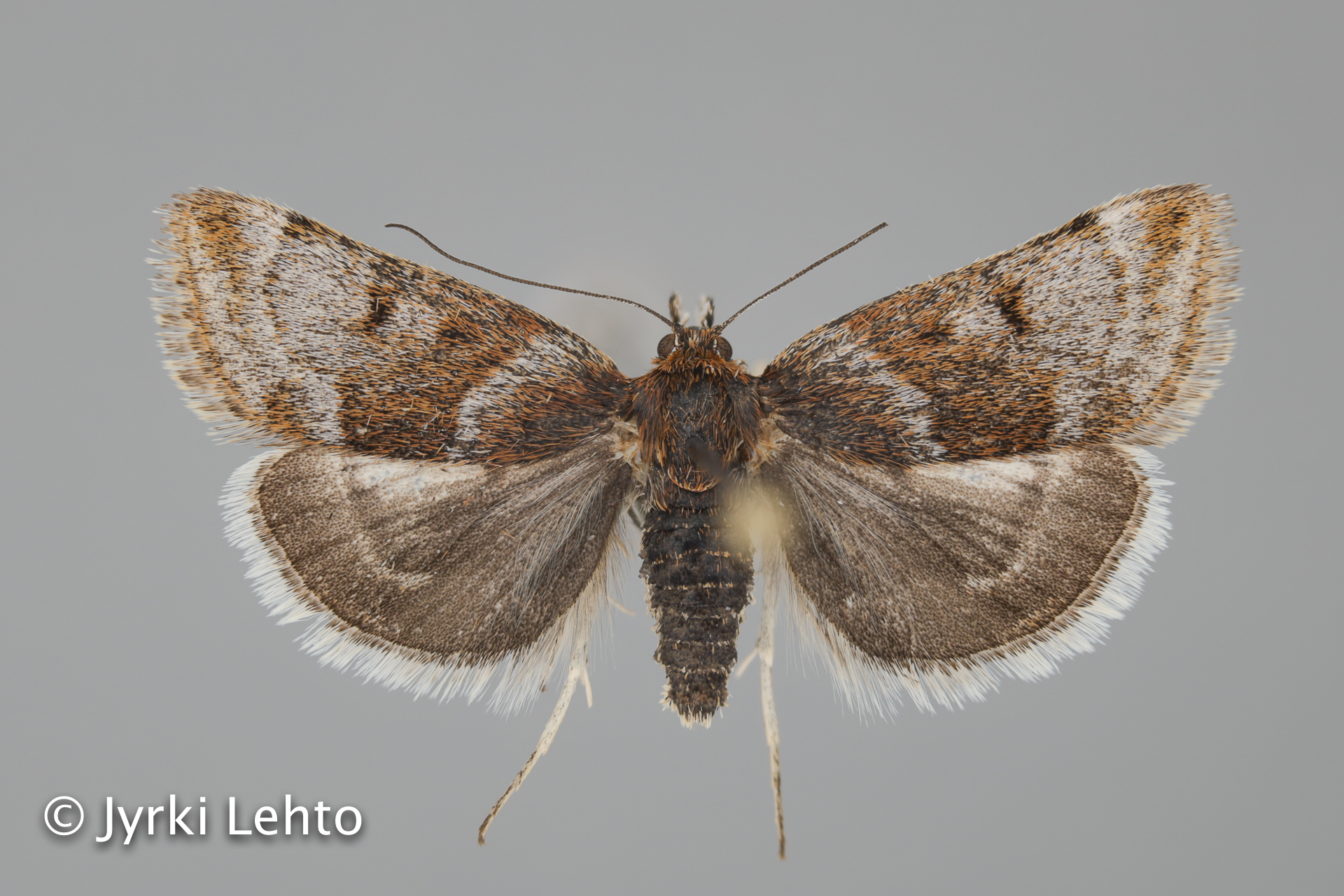 SPS - tunturiseurannat.fi