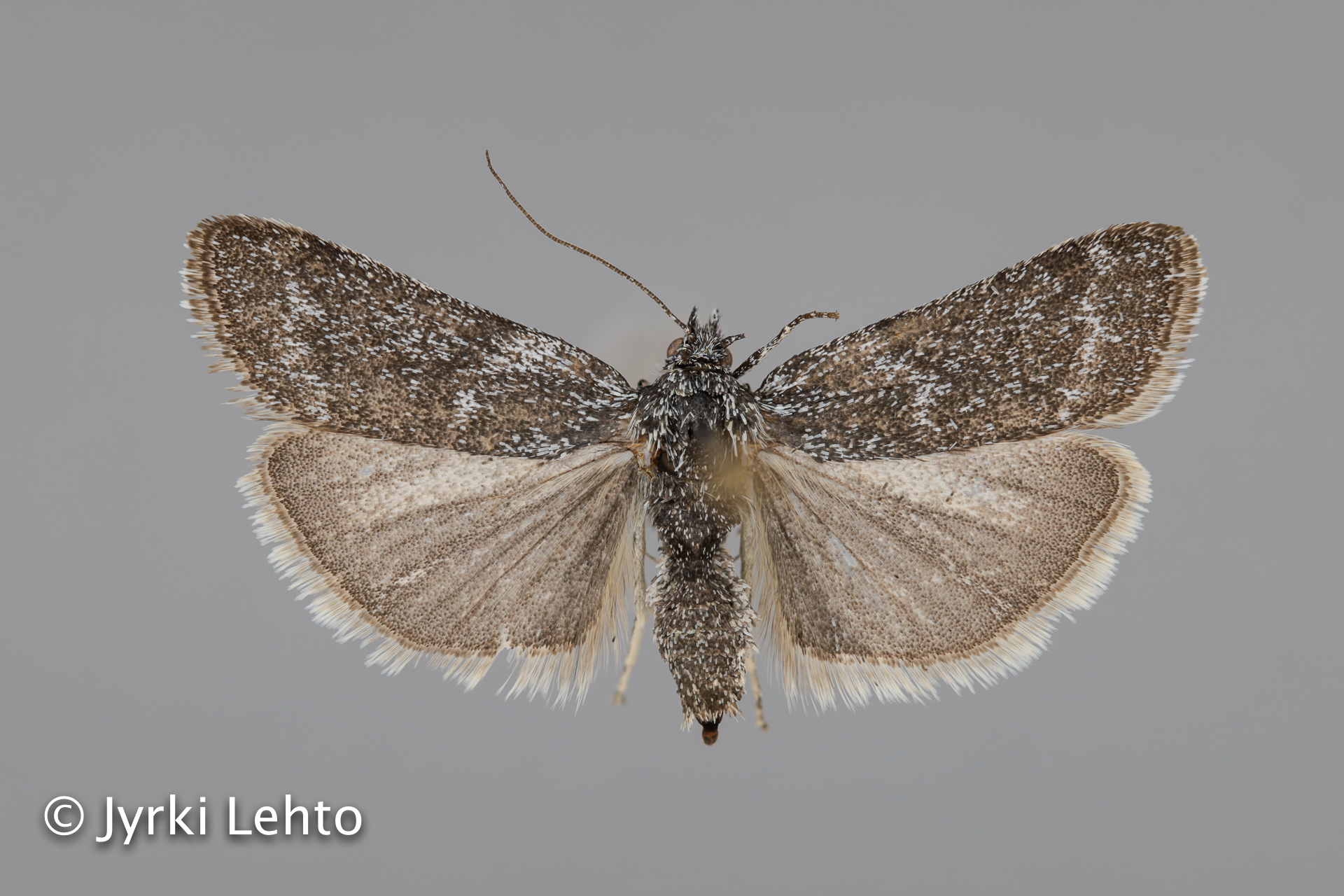 SPS - tunturiseurannat.fi